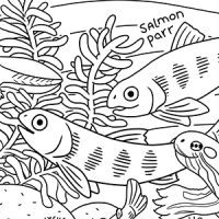 Klamath River coloring sheet preview