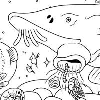 Lake sturgeon coloring sheet preview