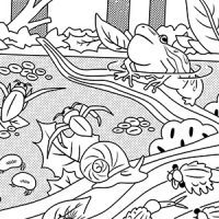 Vernal pool coloring sheet preview