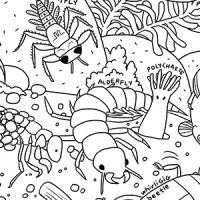 Shallow water insect coloring sheet preview